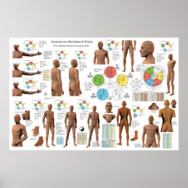 Poster för Acupuncture Meridian Point-platser (Framsidan)