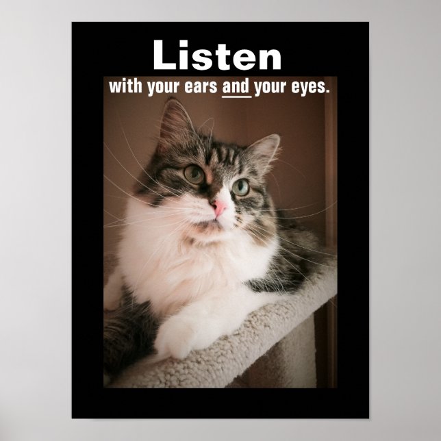 Poster för avlyssning (Framsidan)