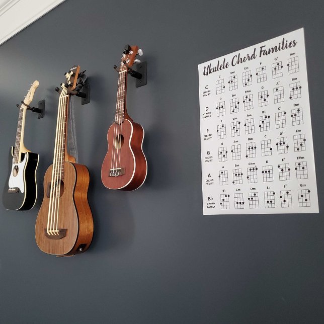 Poster för Chord Families Chord Diagram  (Skapare uppladdad)
