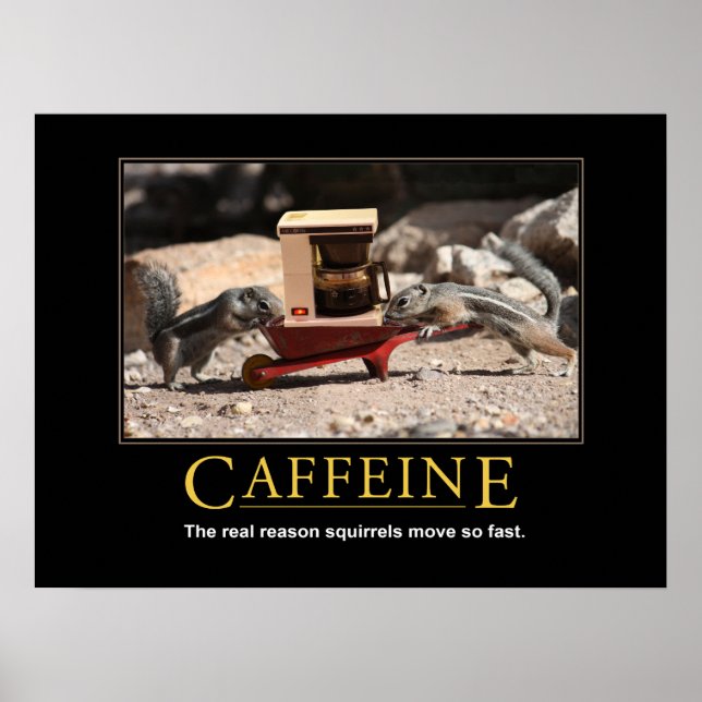 Poster för demografi: koffein (Framsidan)