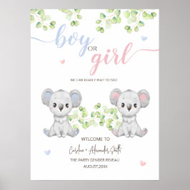 Poster för Koala Gender Reveal Party.
