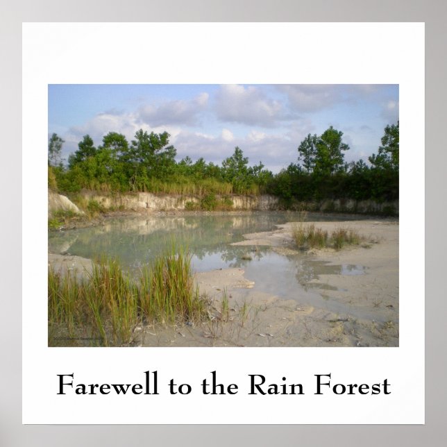 Poster för regnskogskonservering (Framsidan)