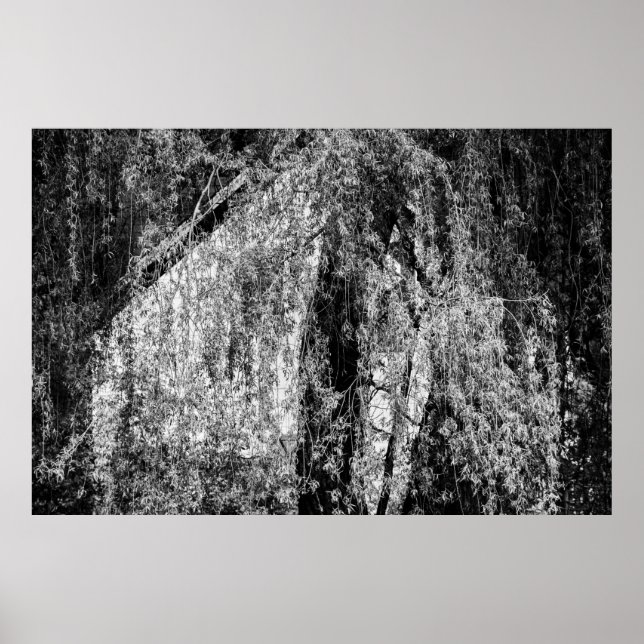 poster fortfarande hemmet (Framsidan)