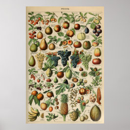 Poster Fruta Adolphe Millot Le Larousse Pour Tous