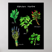 POSTER GARDEN-ÖRTER