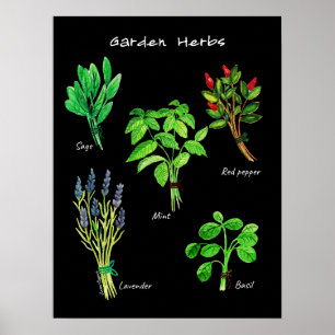 POSTER GARDEN-ÖRTER