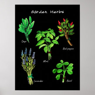 POSTER GARDEN-ÖRTER