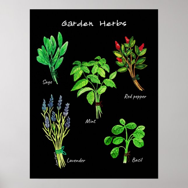 POSTER GARDEN-ÖRTER (Framsidan)