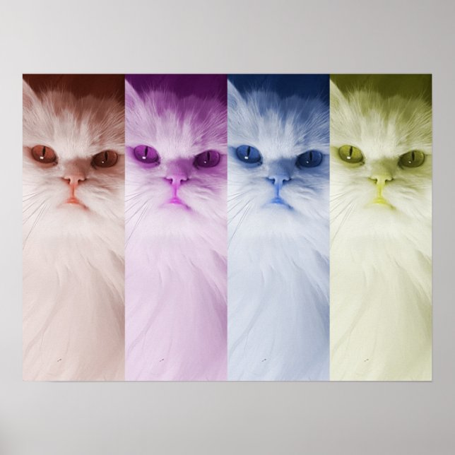 Póster gato de colores poster (Framsidan)