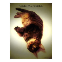 Poster - General Tso Fläkt Klubb