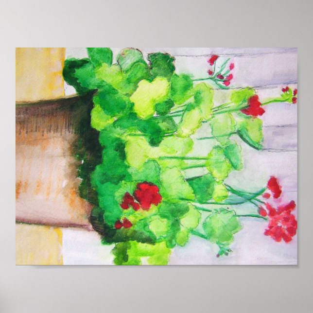 Poster - Geranium i augusti (Framsidan)