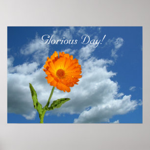 Poster - Glorid dag
