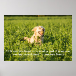 Poster Golden Retriever med citat