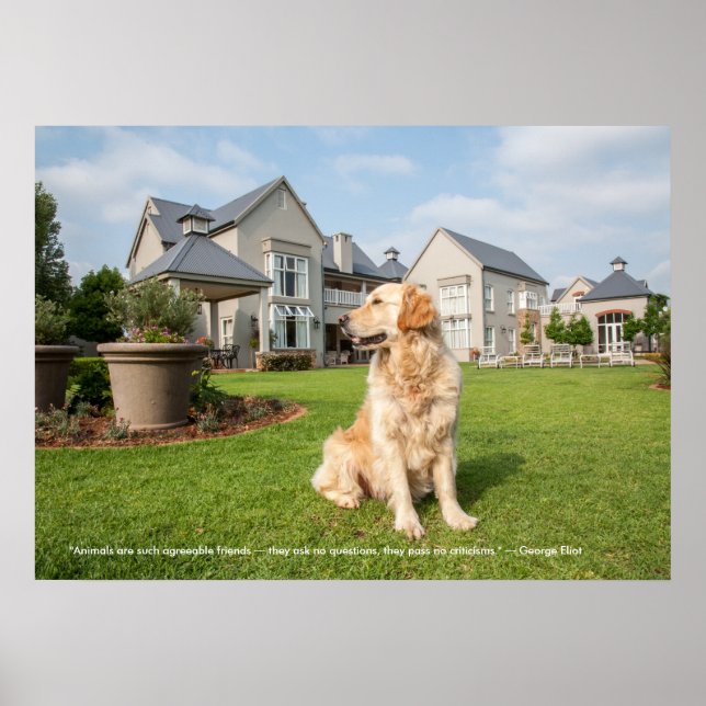 Poster Golden Retriever med citat (Framsidan)