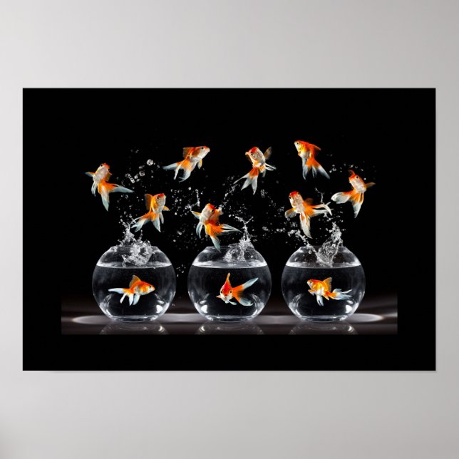 Poster-Goldfish Poster (Framsidan)