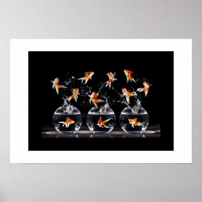 Poster-Goldfish Poster (Framsidan)