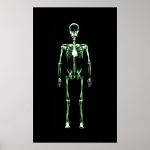 Poster - Grönten X-Ray Vision Single Skeleton Blac
