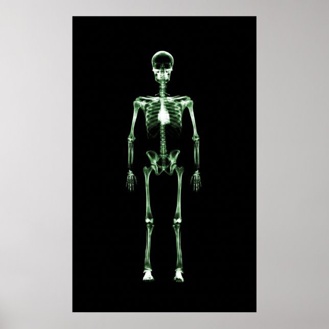 Poster - Grönten X-Ray Vision Single Skeleton Blac (Framsidan)