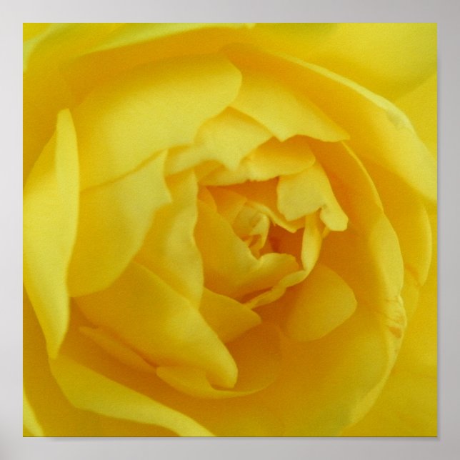 poster gult (Framsidan)