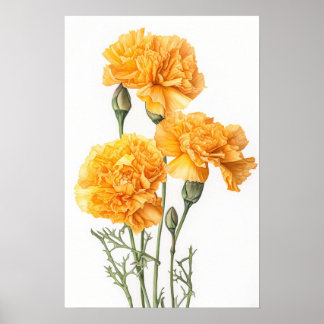 Poster gult Carnations Flower Art Print