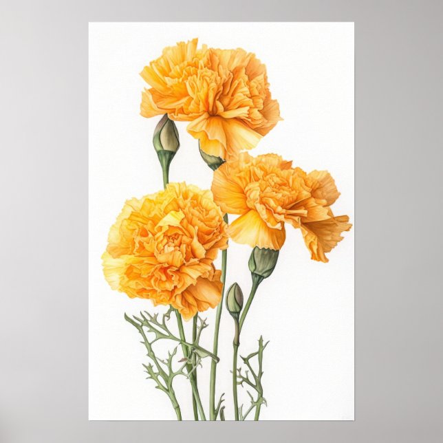 Poster gult Carnations Flower Art Print (Framsidan)