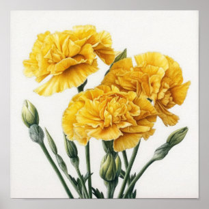 Poster gult Carnations Flower Art Print