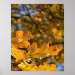 Poster gult Oak Löv