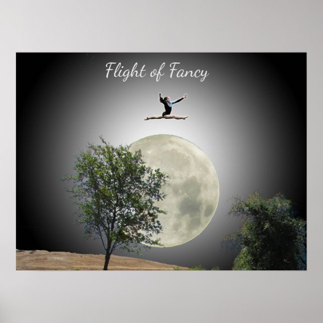 Poster - Gymnaster Flight of Finare (Framsidan)