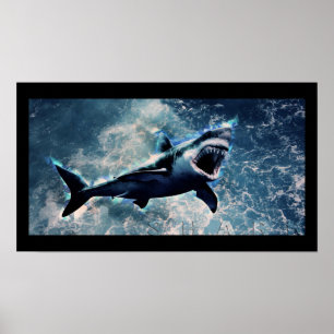 Poster haj