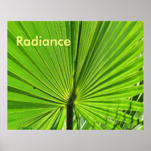 Poster - Handflatan Frond i Sol