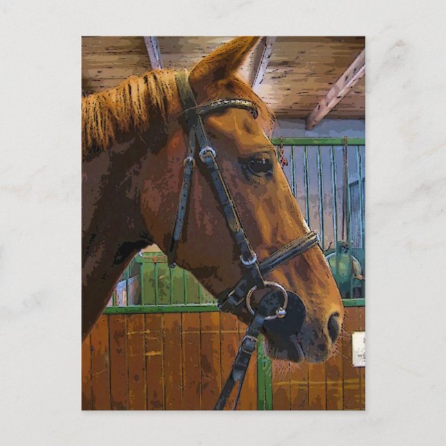 Poster häst vykort (Framsida)