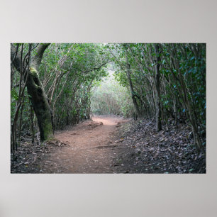 Poster hawaiian Hiking Trail