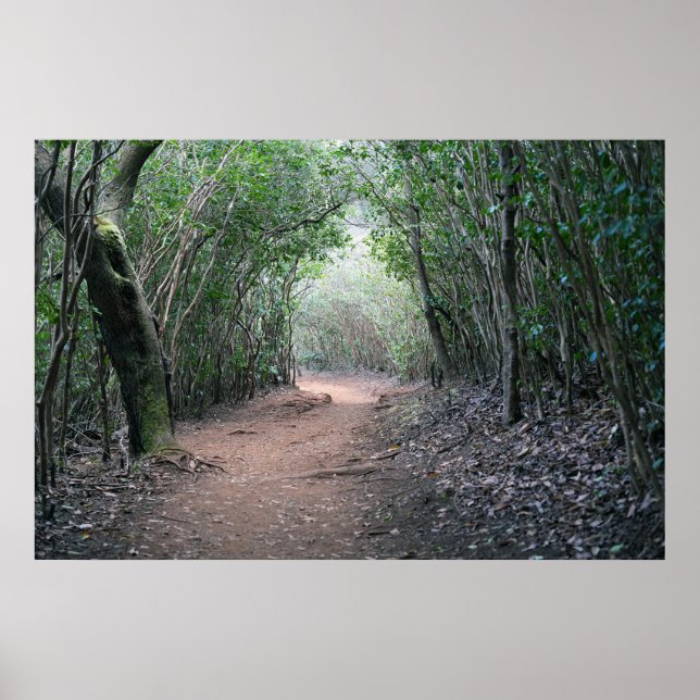 Poster hawaiian Hiking Trail (Framsidan)