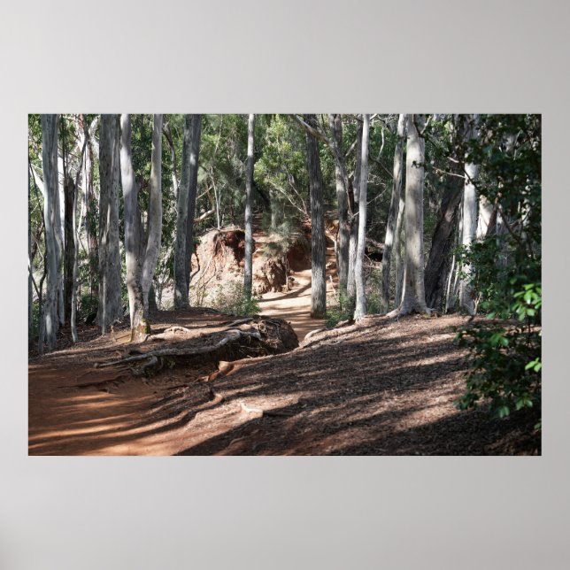 Poster hawaiian Hiking Trail (Framsidan)