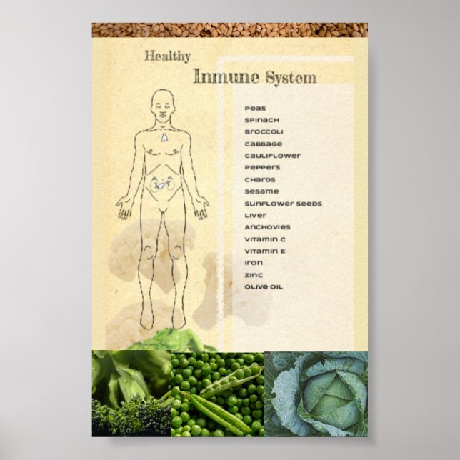 Póster Healthy Inmune System Poster (Framsidan)
