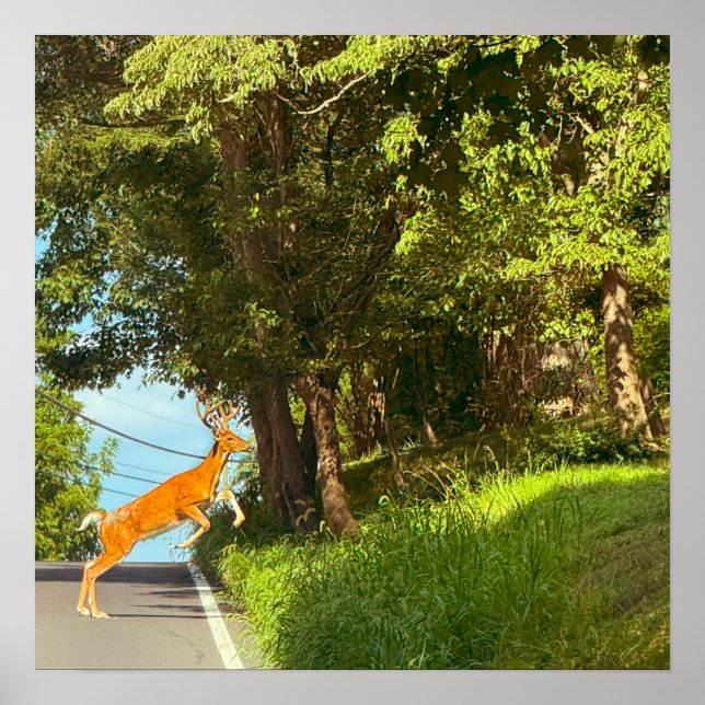 Poster hjort Jumping Photo (Framsidan)