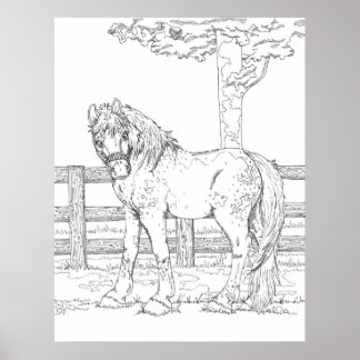 Poster Horse Coloring