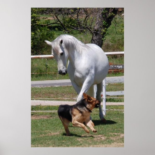 Poster HORSE & HUND PLAY (Framsidan)