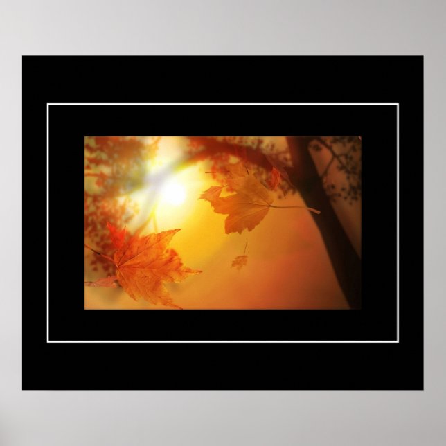 Poster-Höst löv Poster (Framsidan)