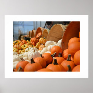 Poster höstpumpar