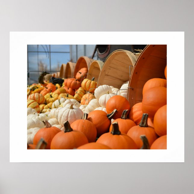 Poster höstpumpar (Framsidan)