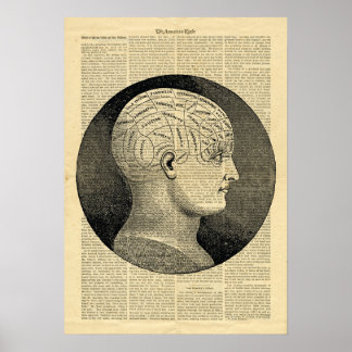 Poster Human Head Phrenology på tidningen