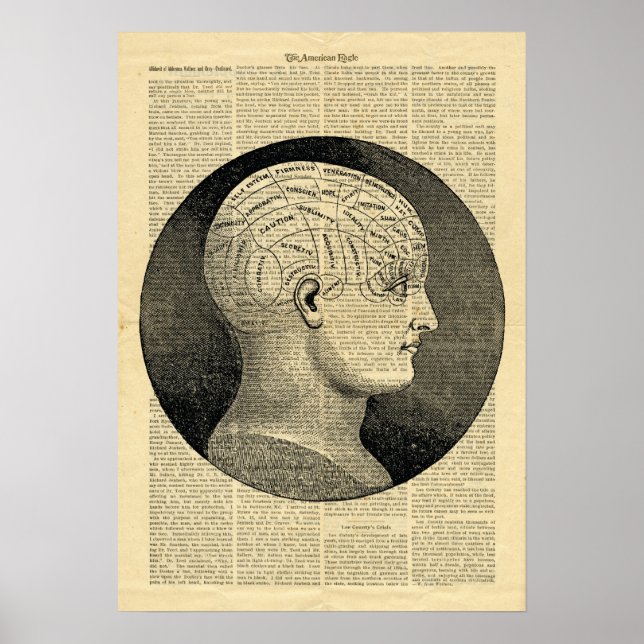 Poster Human Head Phrenology på tidningen (Framsidan)