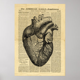 Poster Human Heart Anatomy på tidningen