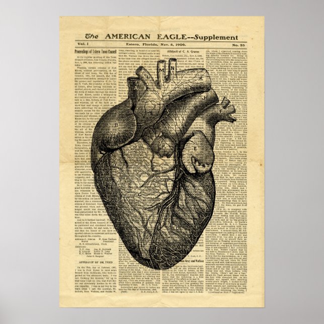 Poster Human Heart Anatomy på tidningen (Framsidan)