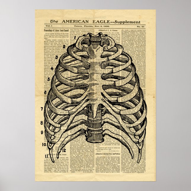 Poster Human Skeleton Thorax på tidningen (Framsidan)