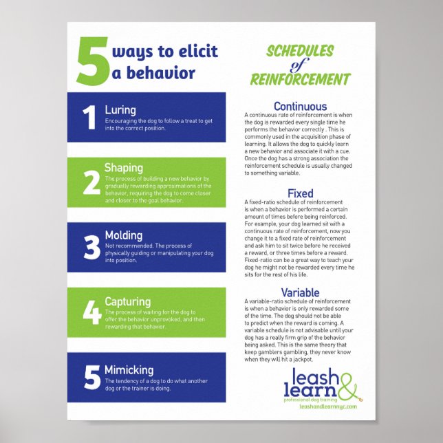 Poster hund (Framsidan)