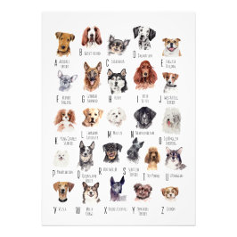 Poster hund Alphabet