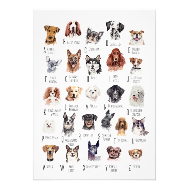 Poster hund Alphabet (Framsidan)
