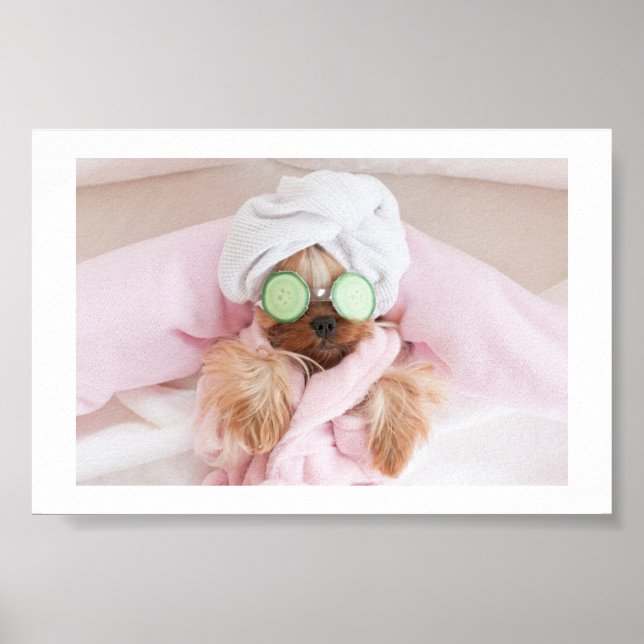 poster hund/hund (Framsidan)